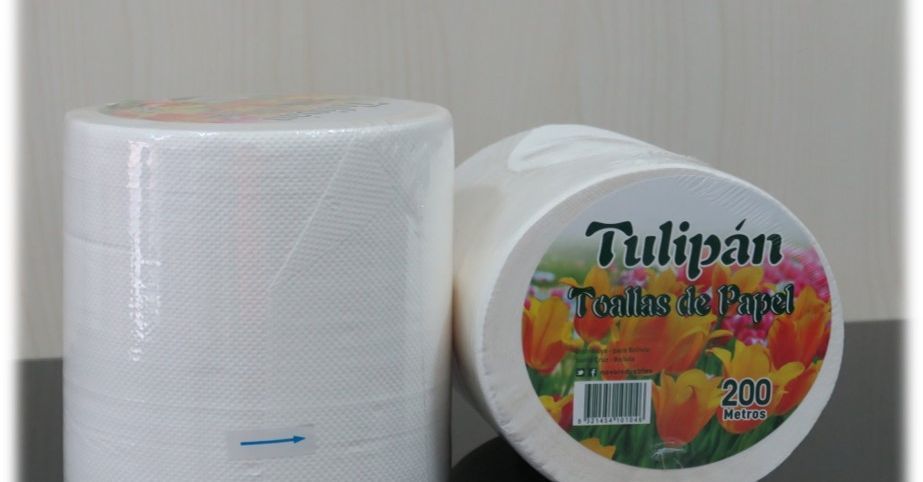 Papel Toalla